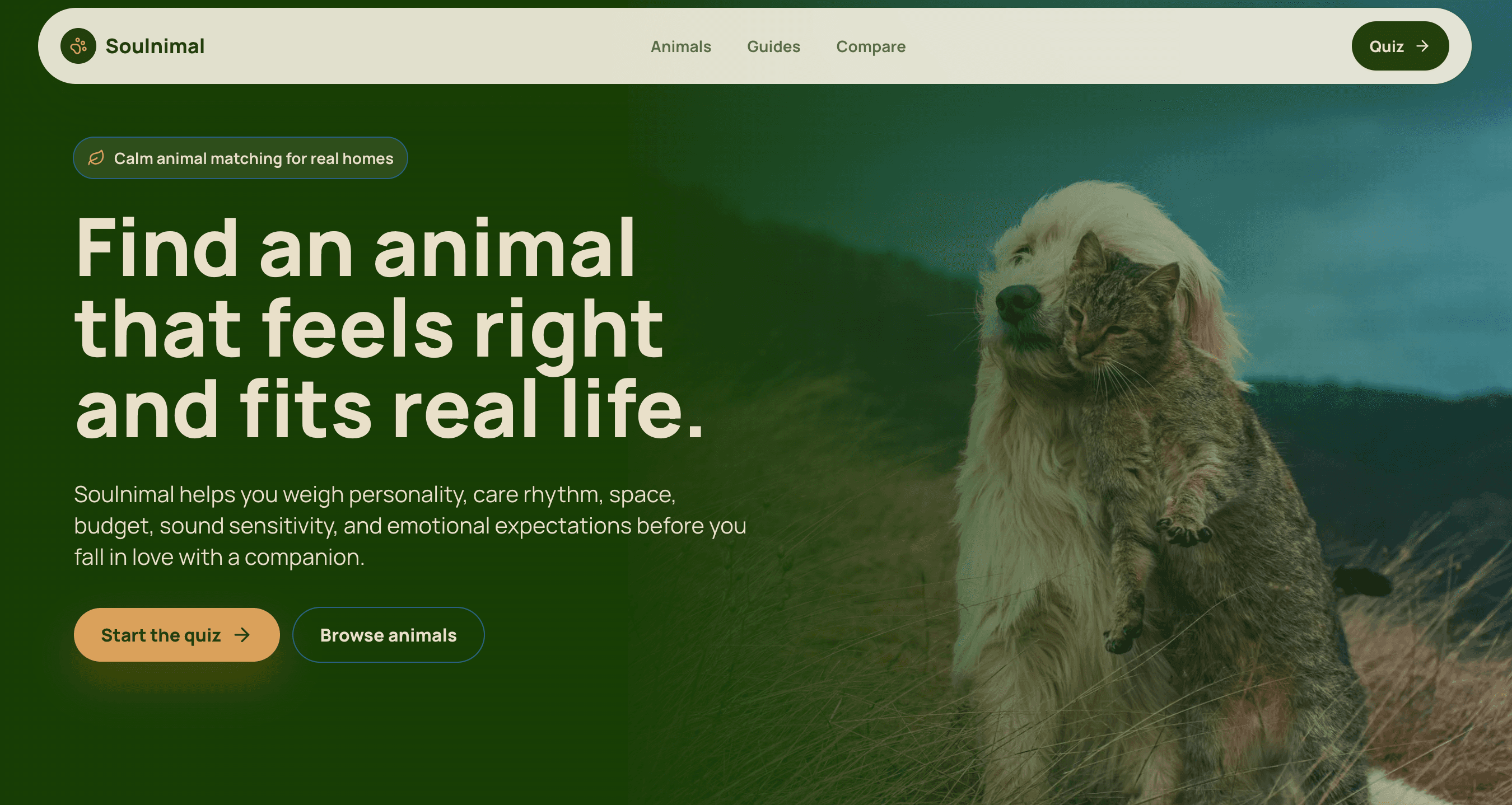 Soulnimal homepage hero with dog and cat characters